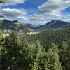 bigskyberry